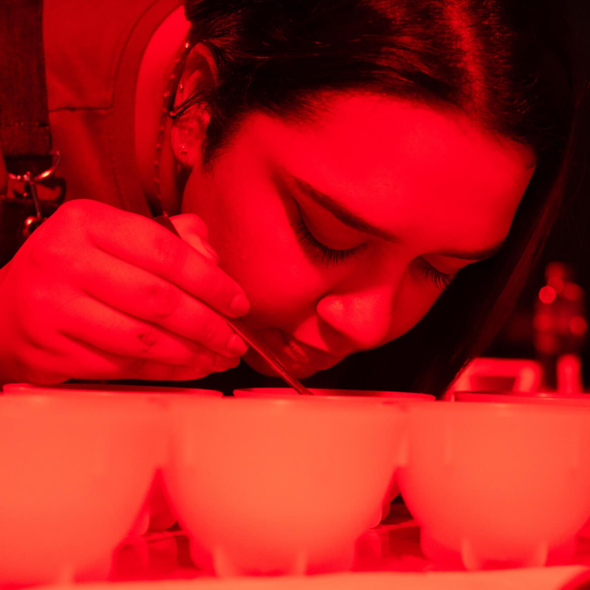 Art-Of-Cupping-Course-Thumbnail_RAW-Coffee-Company