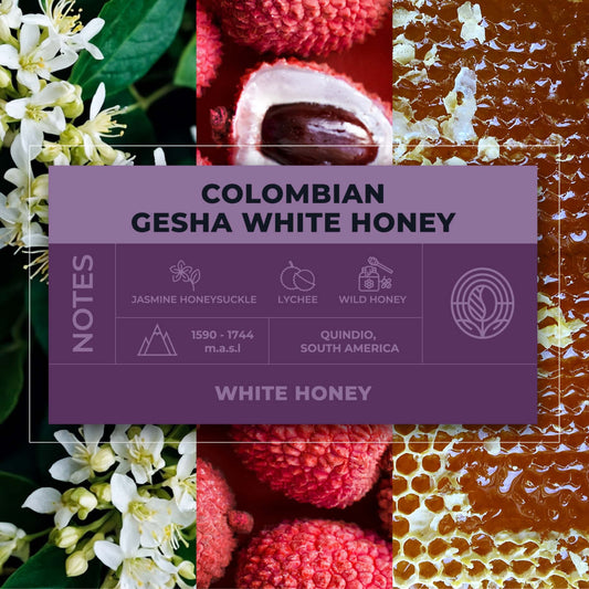 Colombian-Gesha-White-Honey-Coffee-Tasting-Notes_RAW-Coffee-Company