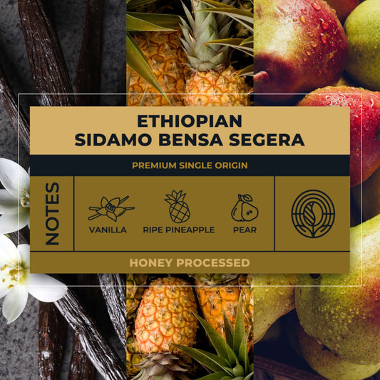 Ethiopian-Sidamo-Segera-Honey-Coffee-Tasting-Notes_RAW-Coffee-Company