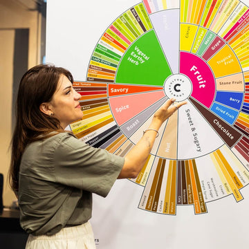 Tasters-Flavour-Wheel_RAW-Coffee-Company