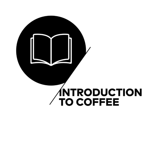 SCA-Introduction-To-Coffee-Course-Thumbnail_RAW-Coffee-Company