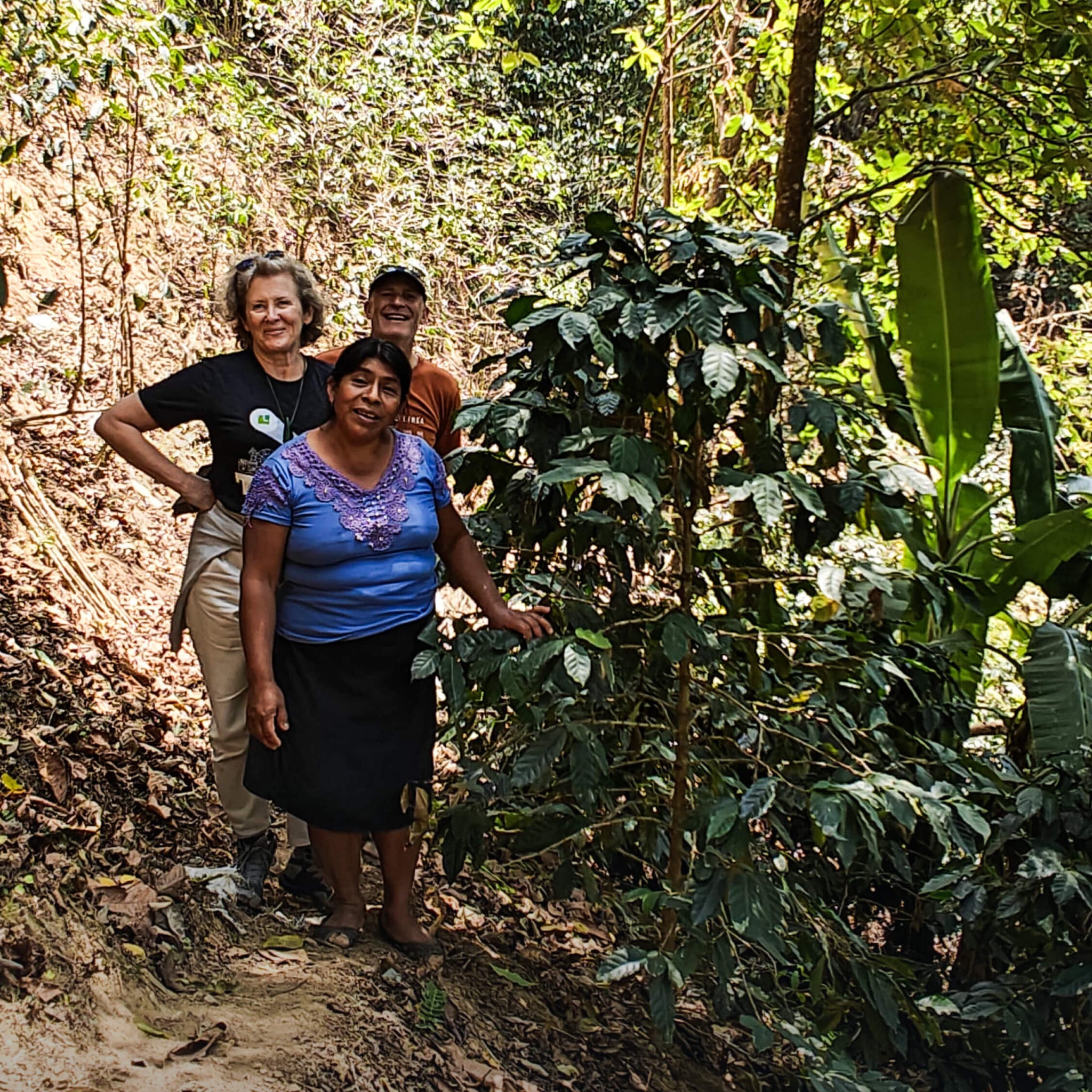 <B>IMPACT AT ORIGIN: THE STORY BEHIND YOUR CUP OF RAW</B>