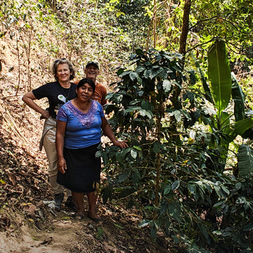 <B>IMPACT AT ORIGIN: THE STORY BEHIND YOUR CUP OF RAW</B>