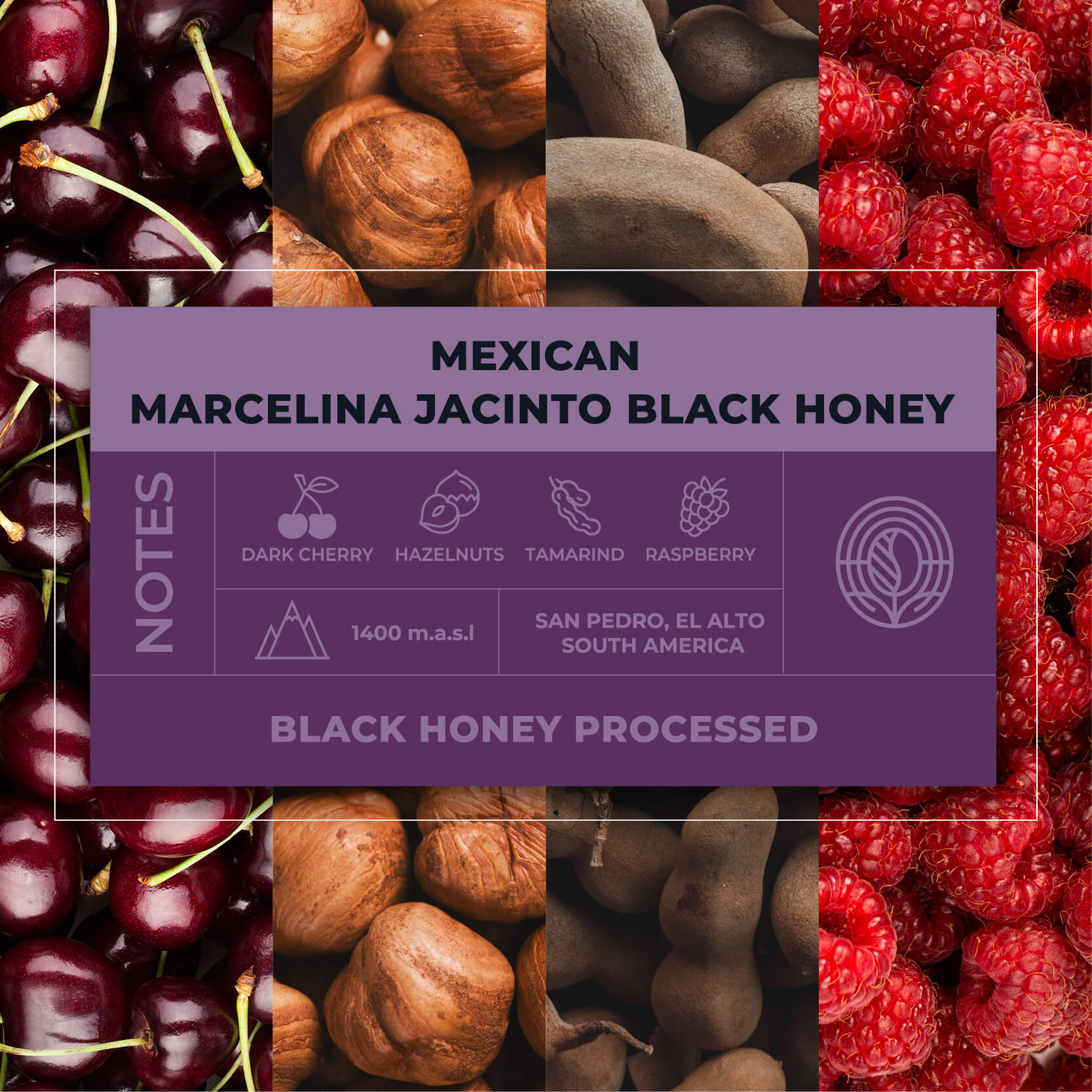 Mexican-Marcelina-Jacinto-Black-Honey-Coffee-Tasting-Notes_RAW-Coffee-Company