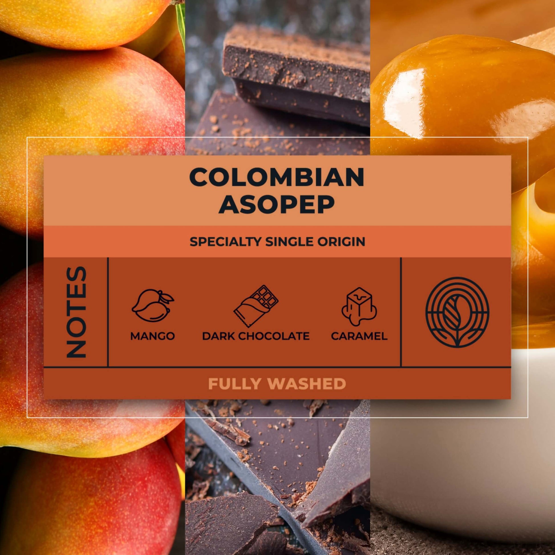 Colombian-Asopep-Coffee-Tasting-Notes_RAW-Coffee-Company