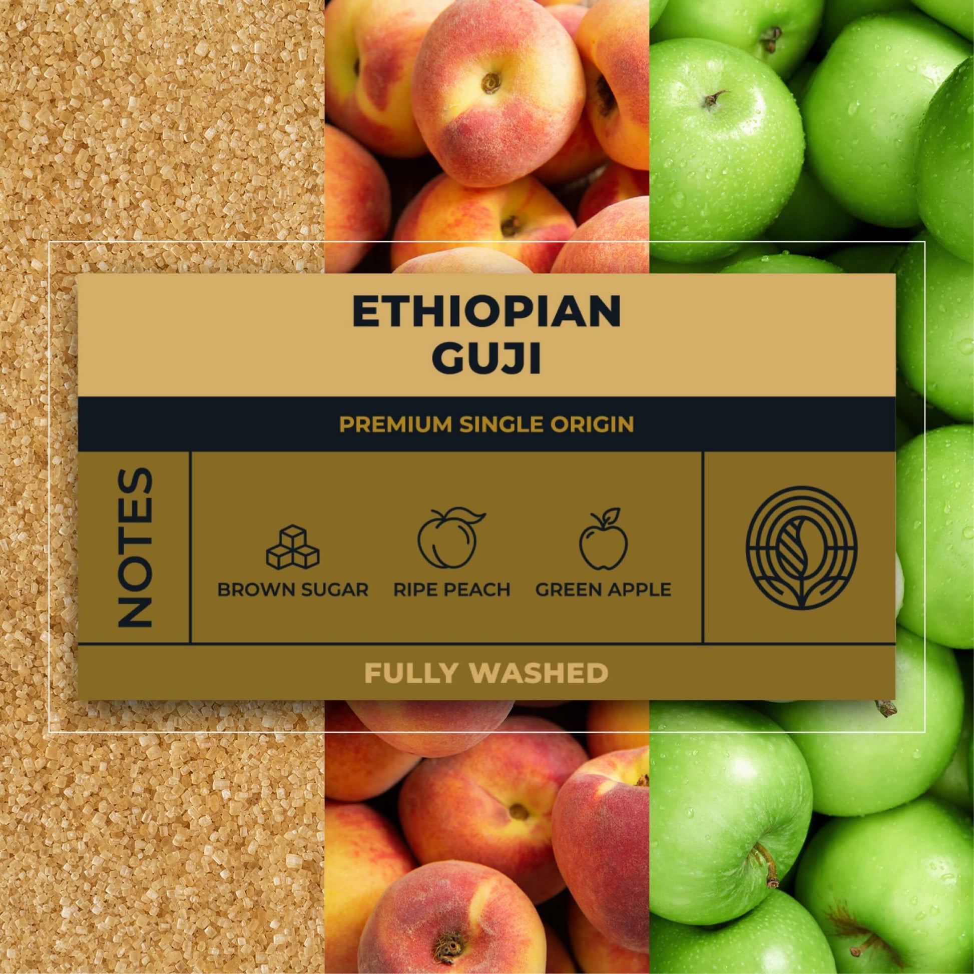 Ethiopian-Guji-Coffee-Tasting-Notes_RAW-Coffee-Company