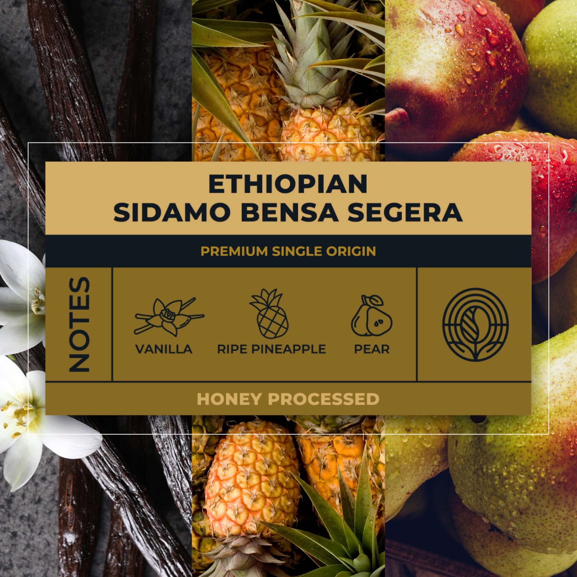 Ethiopian-Sidamo-Segera-Honey-Coffee-Tasting-Notes_RAW-Coffee-Company