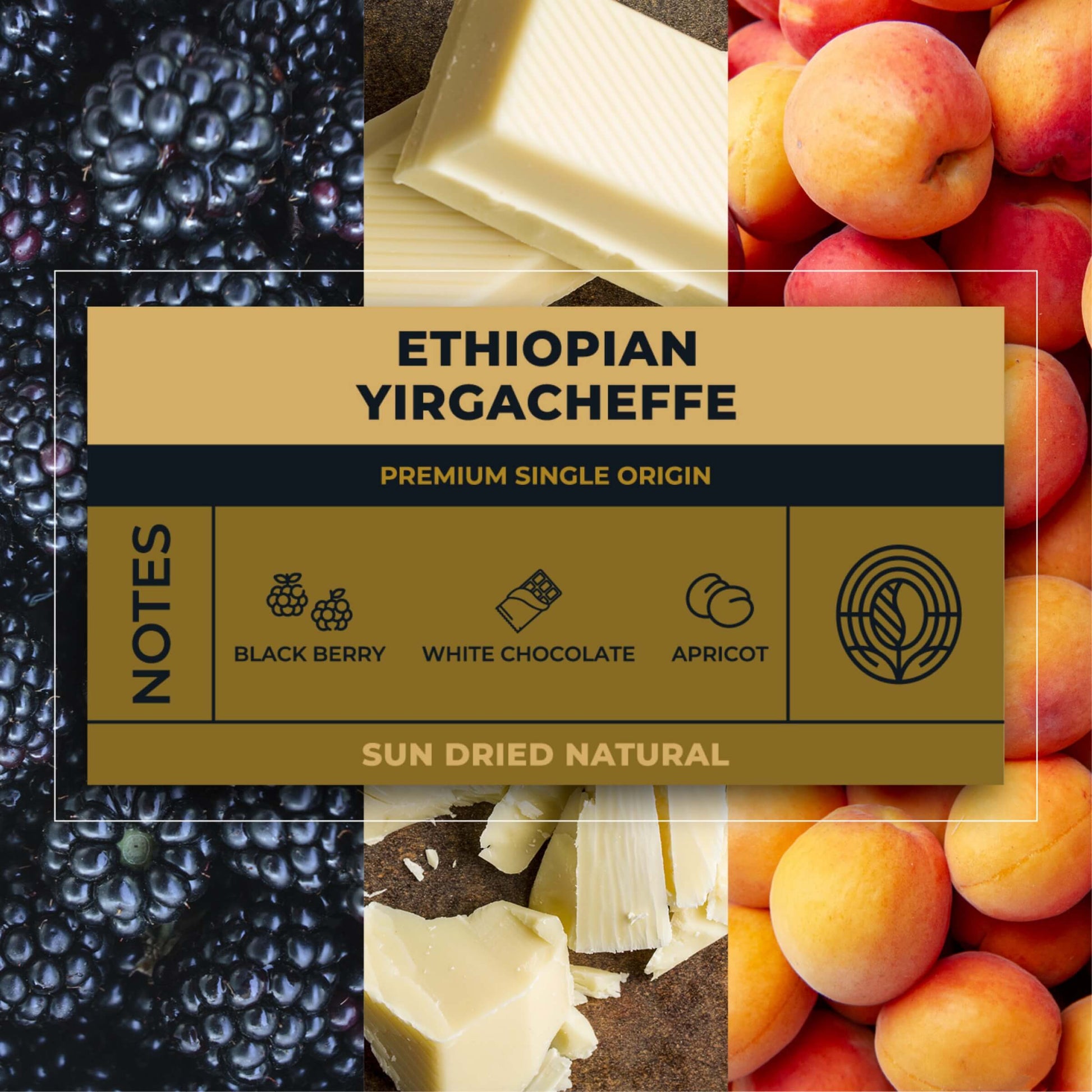 Ethiopian-Yirgacheffe-Coffee-Tasting-Notes_RAW-Coffee-Company