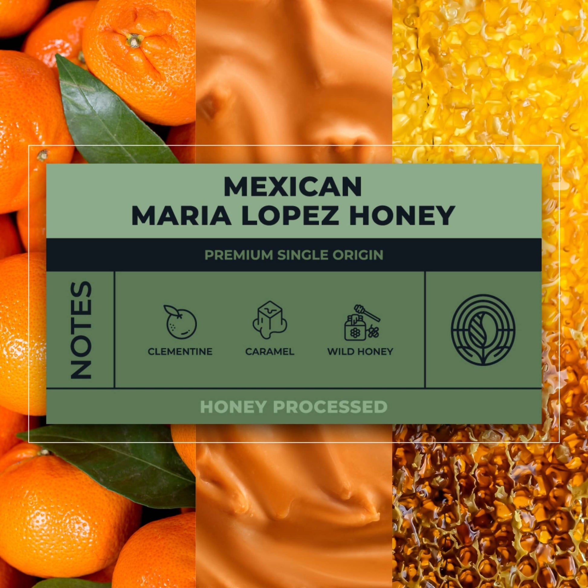 Mexican-Maria-Lopez-Honey-Coffee-Tasting-Notes_RAW-Coffee-Company