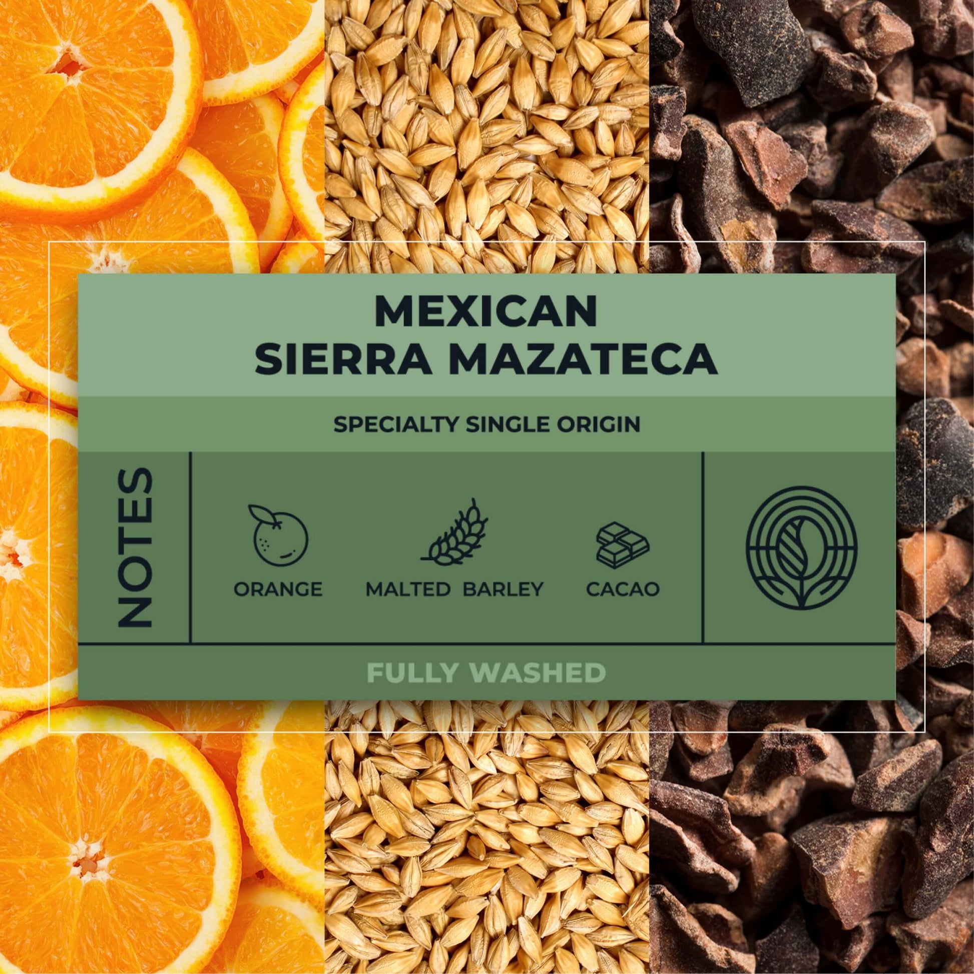 Mexican-Sierra-Mazateca-Coffee-Tasting-Notes_RAW-Coffee-Company