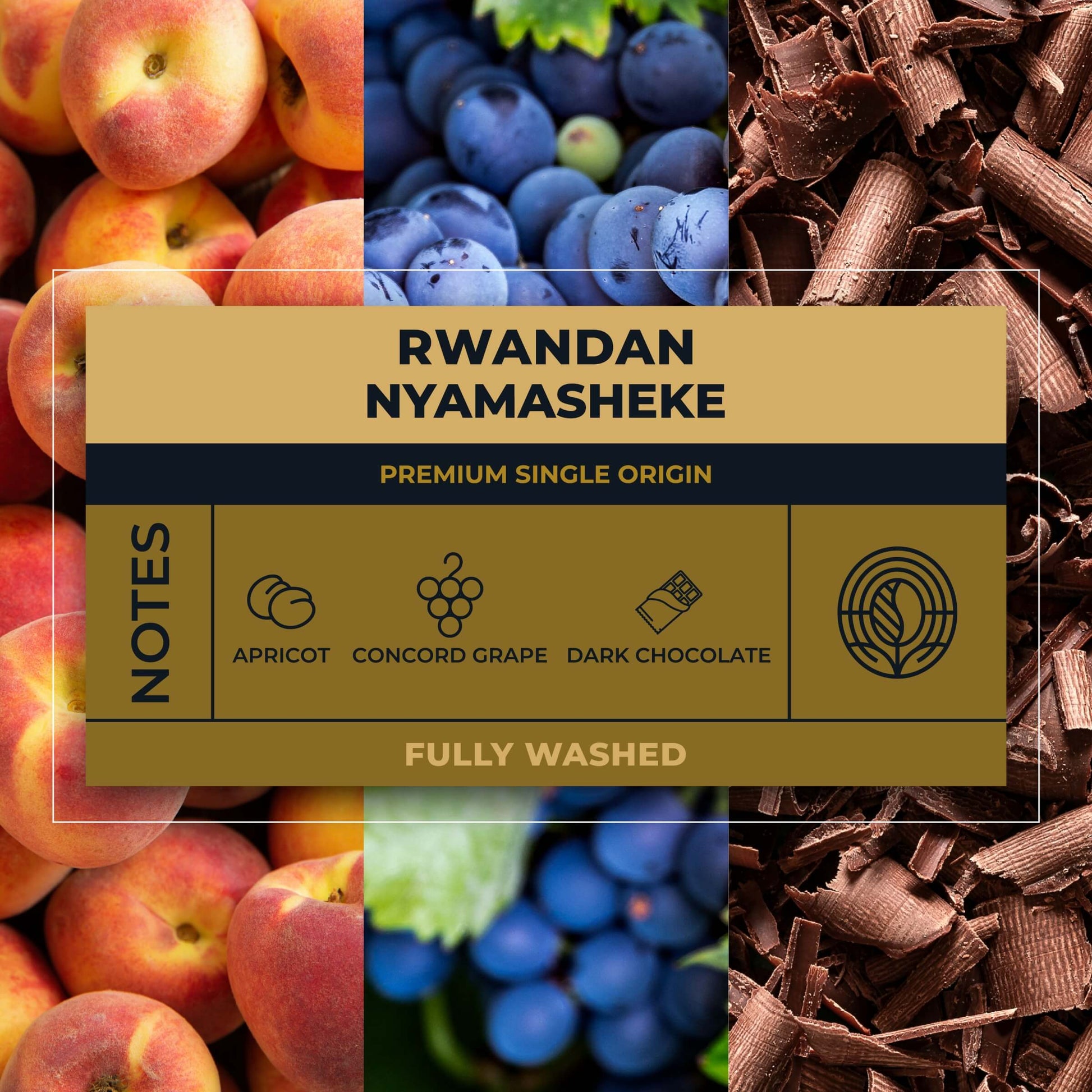 Rwandan-Nyamasheke-Coffee-Tasting-Notes_RAW-Coffee-Company