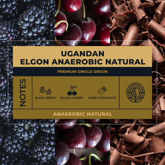 UGANDAN ELGON ANAEROBIC NATURAL COFFEE