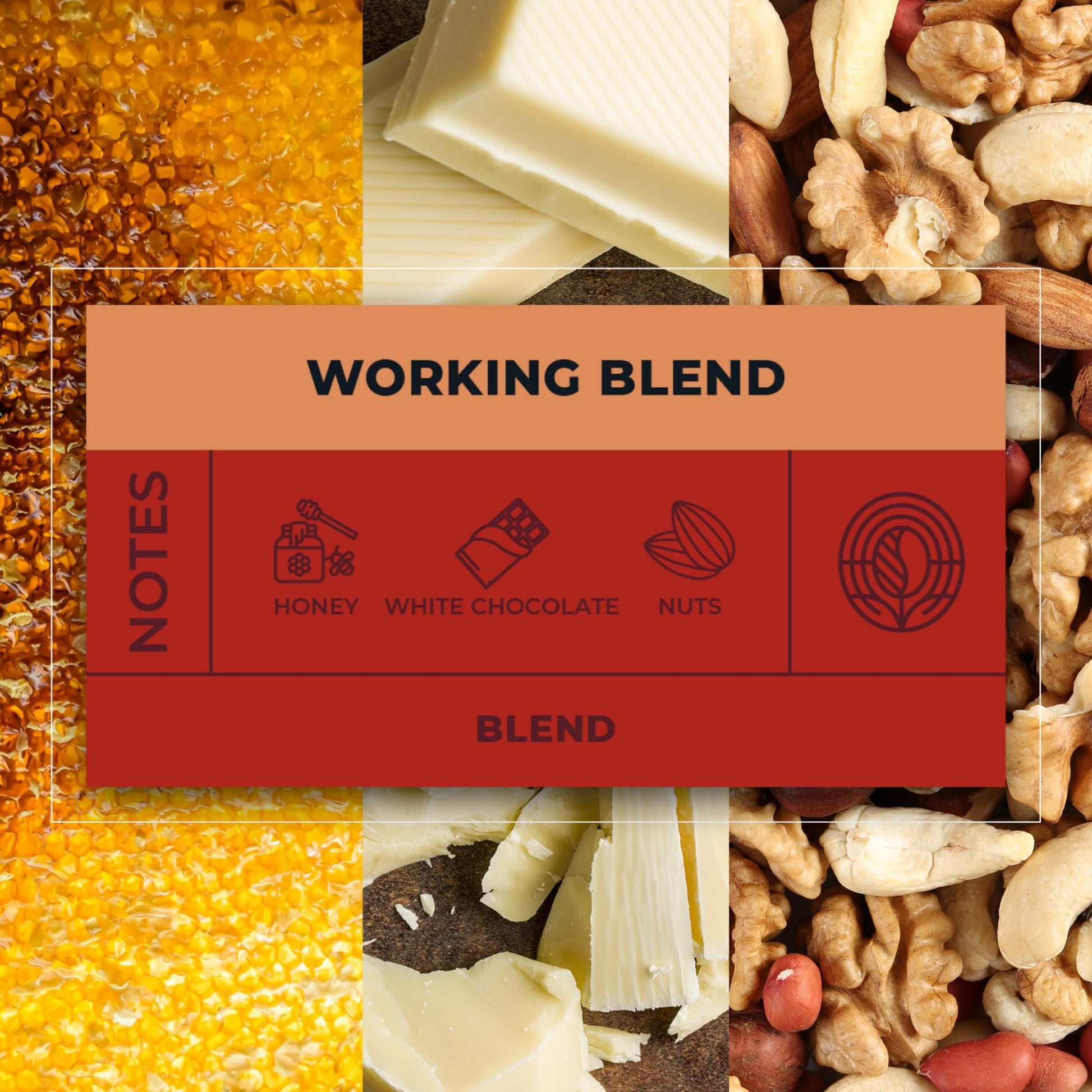 Working-Blend-Coffee-Tasting-Notes_RAW-Coffee-Company