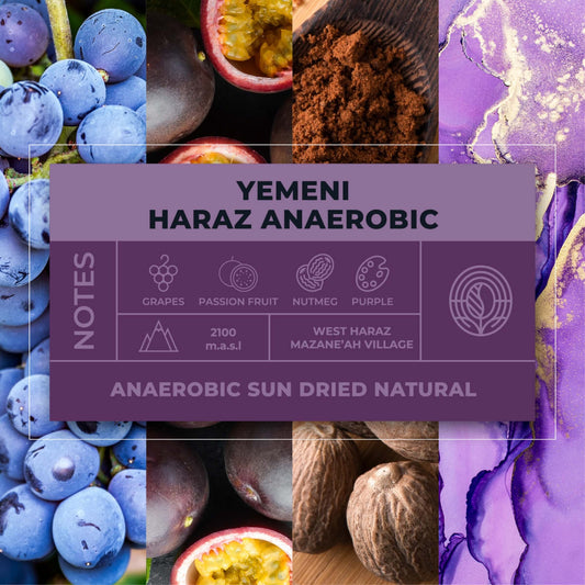 YEMENI HARAZ ANAEROBIC COFFEE