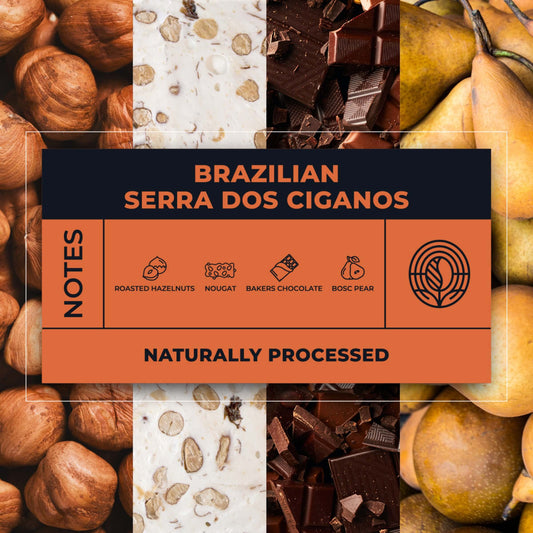 Brazilian-Serra-Dos-Ciganos-Coffee-Tasting-Notes_RAW-Coffee-Company