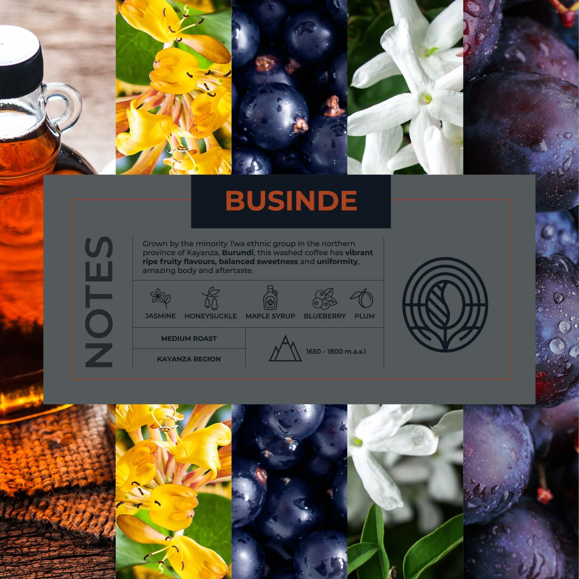 Burundi-Businde-Coffee-Bundle-Tasting-Notes_RAW-Coffee-Company