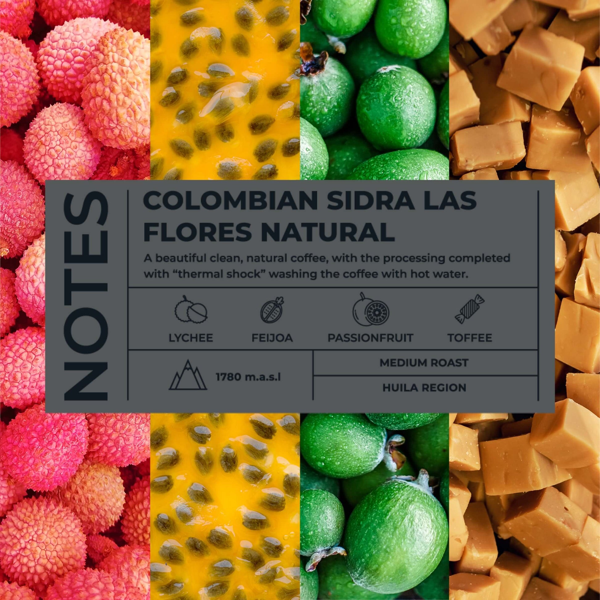 Colombian-Sidra-Las-Flores-Coffee-Tasting-Notes_RAW-Coffee-Company