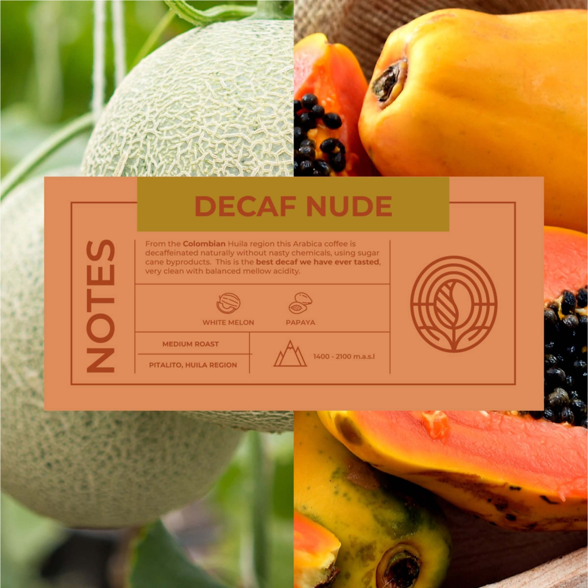 Decaf-Nude-Coffee-Tasting-Notes_RAW-Coffee-Company