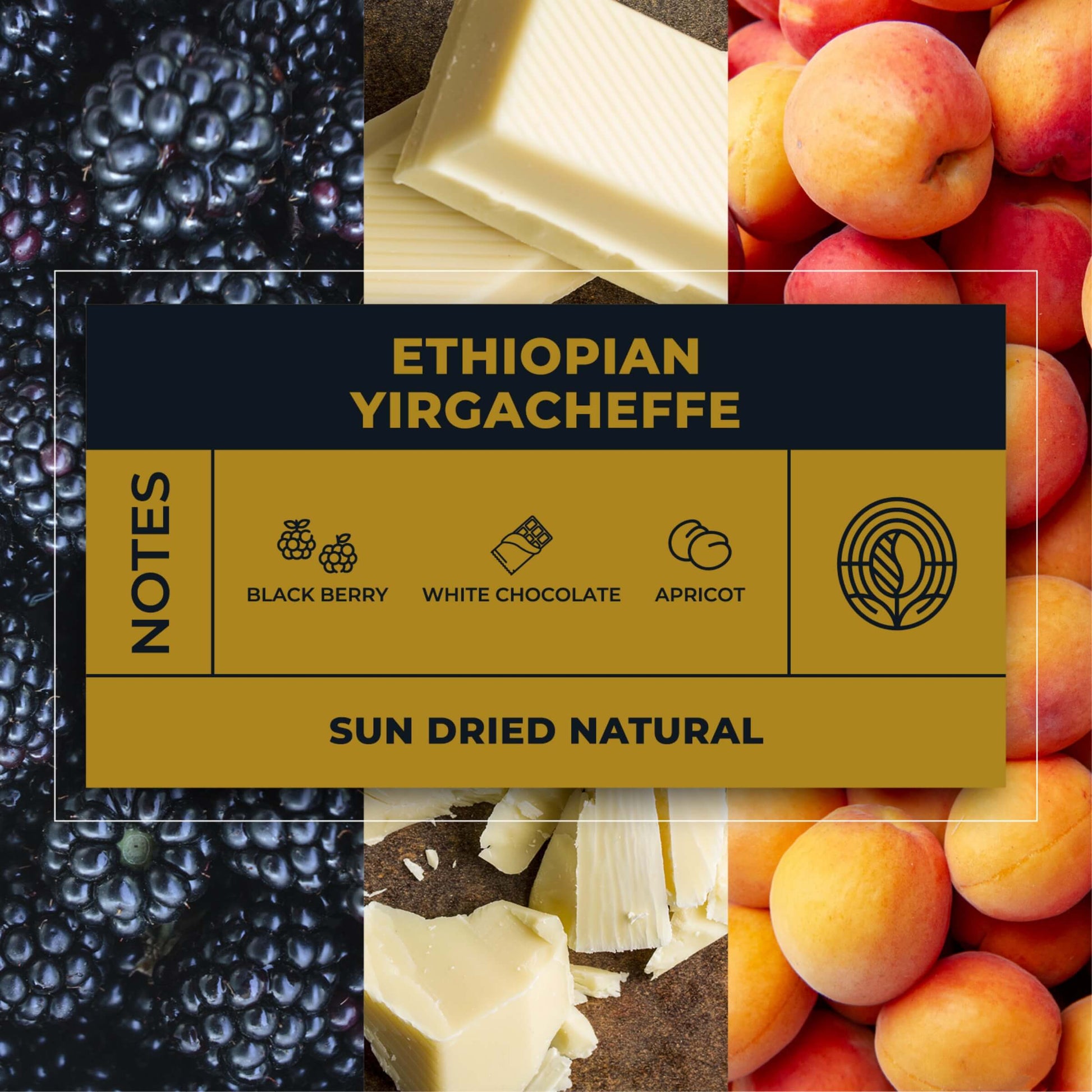 Ethiopian-Yirgacheffe-Coffee-Tasting-Notes_RAW-Coffee-Company