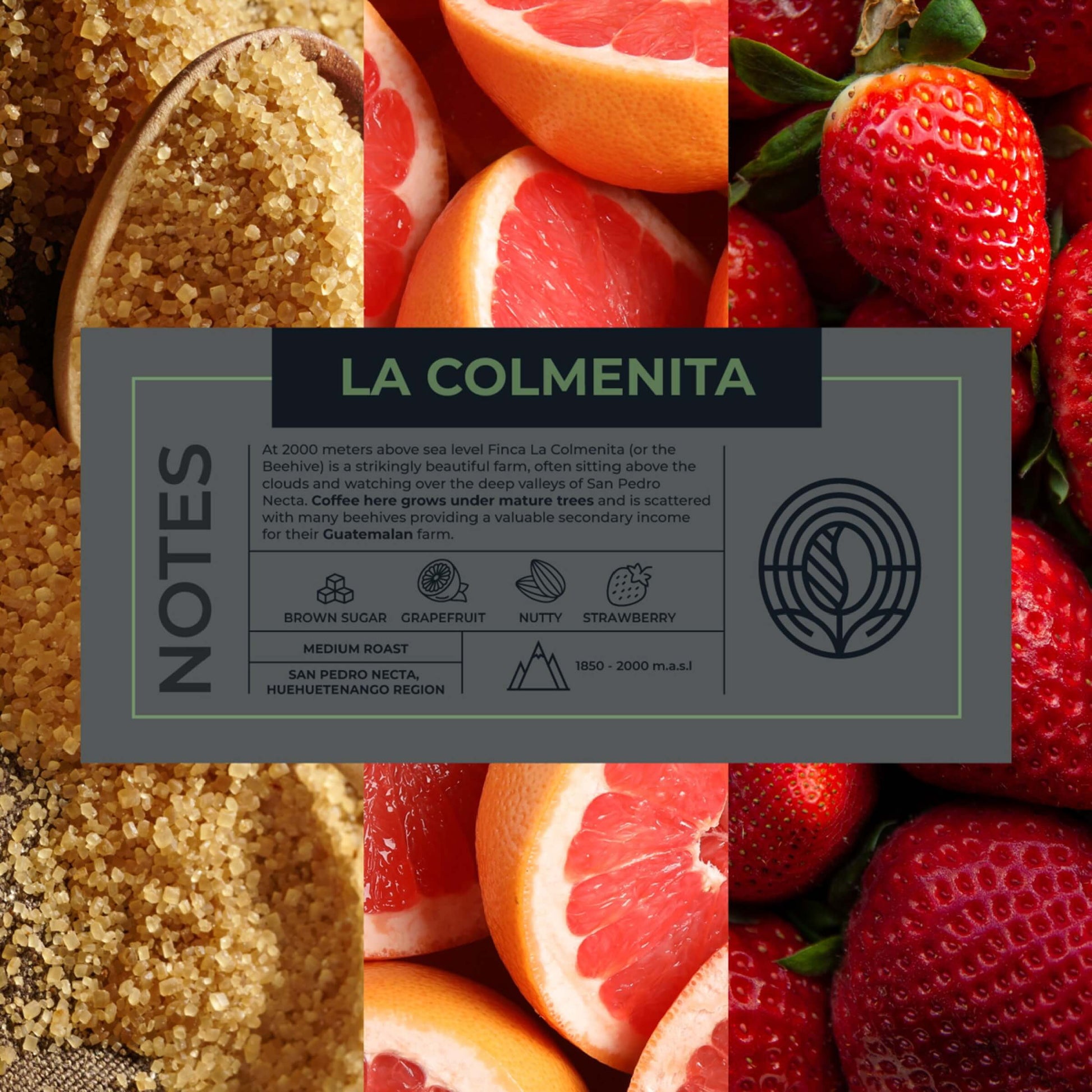 Guatemalan-La-Colmenita-Coffee-Bundle-Tasting-Notes_RAW-Coffee-Company