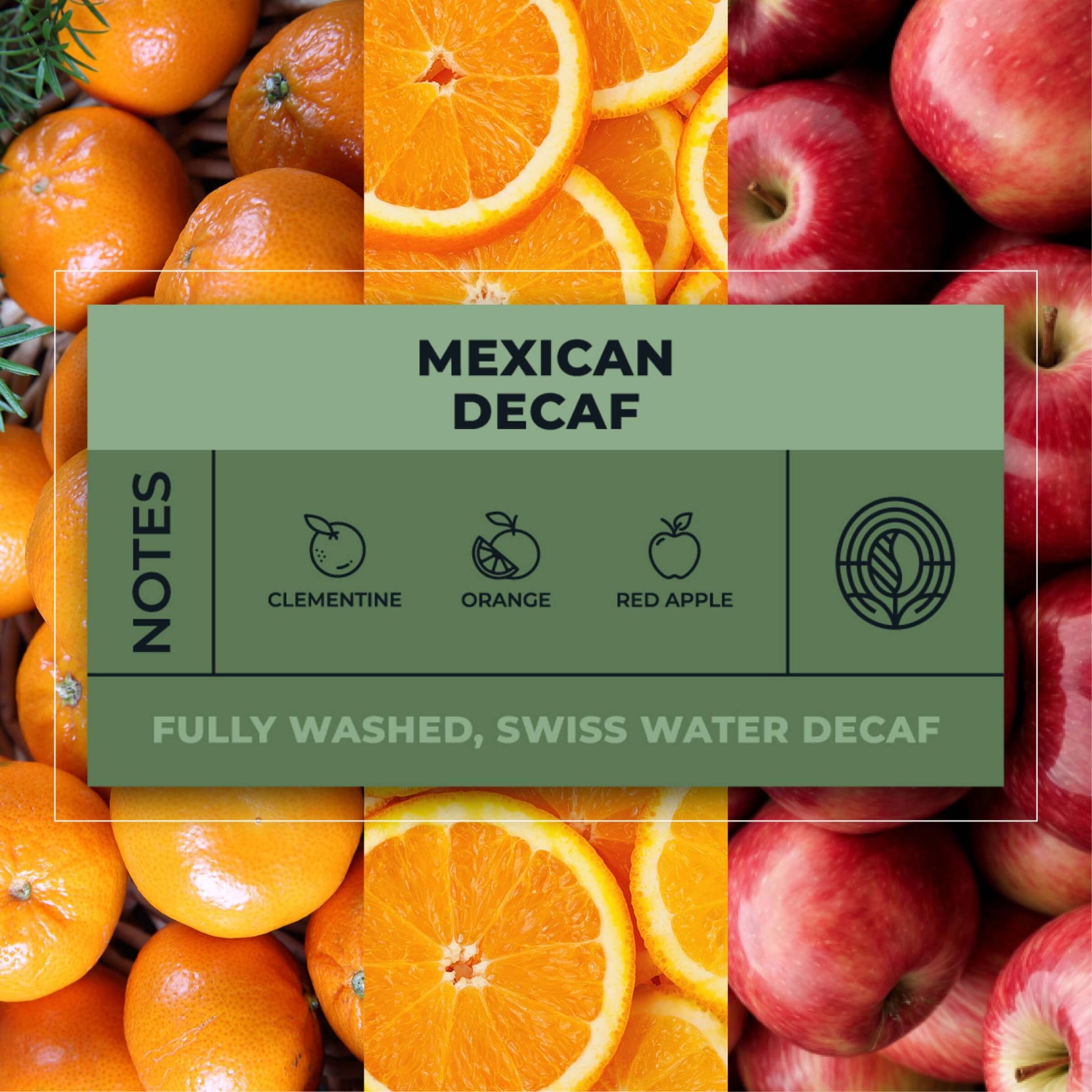 Mexican-Decaf-Coffee-Tasting-Notes_RAW-Coffee-Company