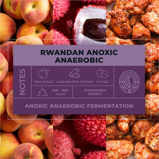 Rwandan-Anoxic-Anaerobic-Coffee-Tasting-Notes_RAW-Coffee-Company