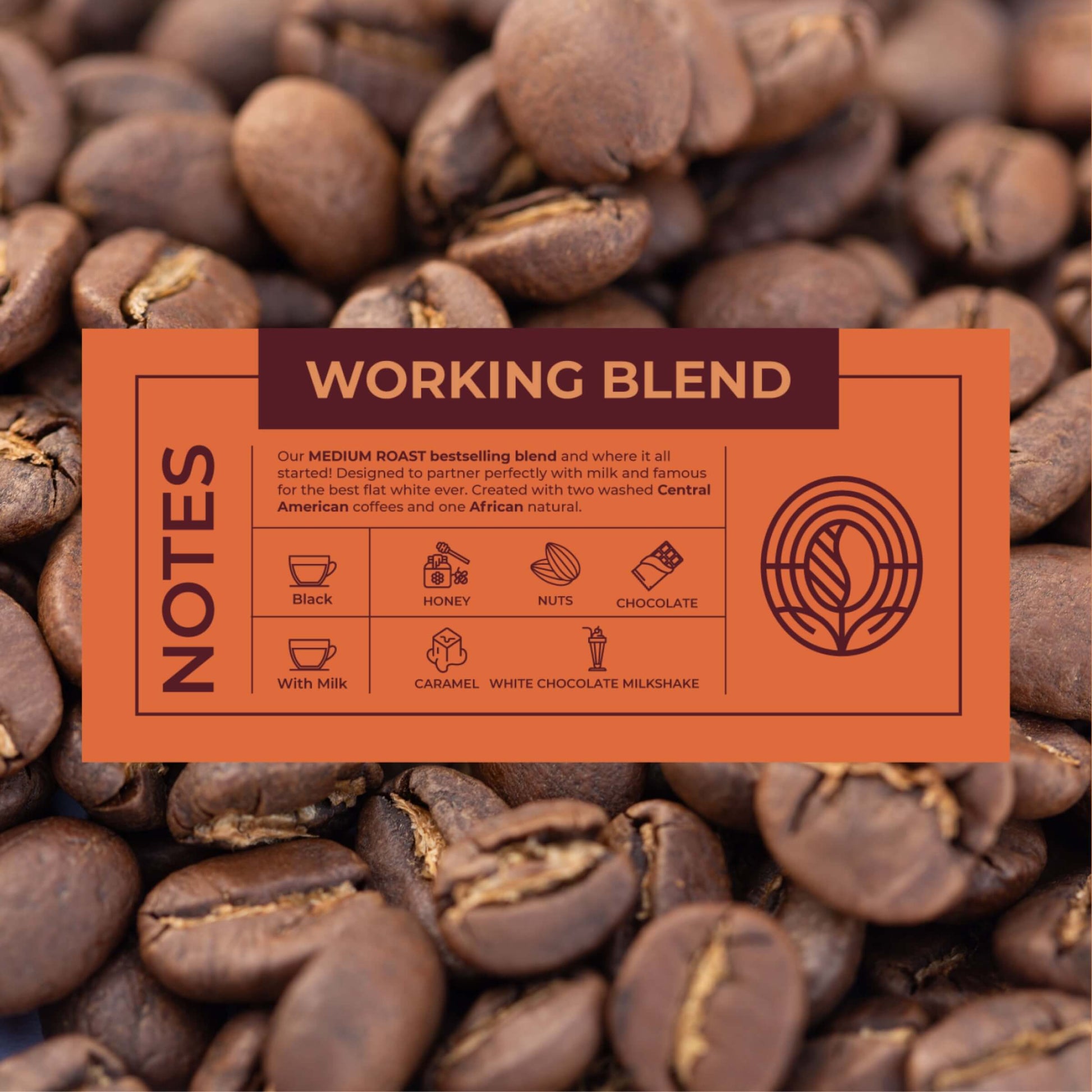 Working-Blend-Coffee-Tasting-Notes_RAW-Coffee-Company