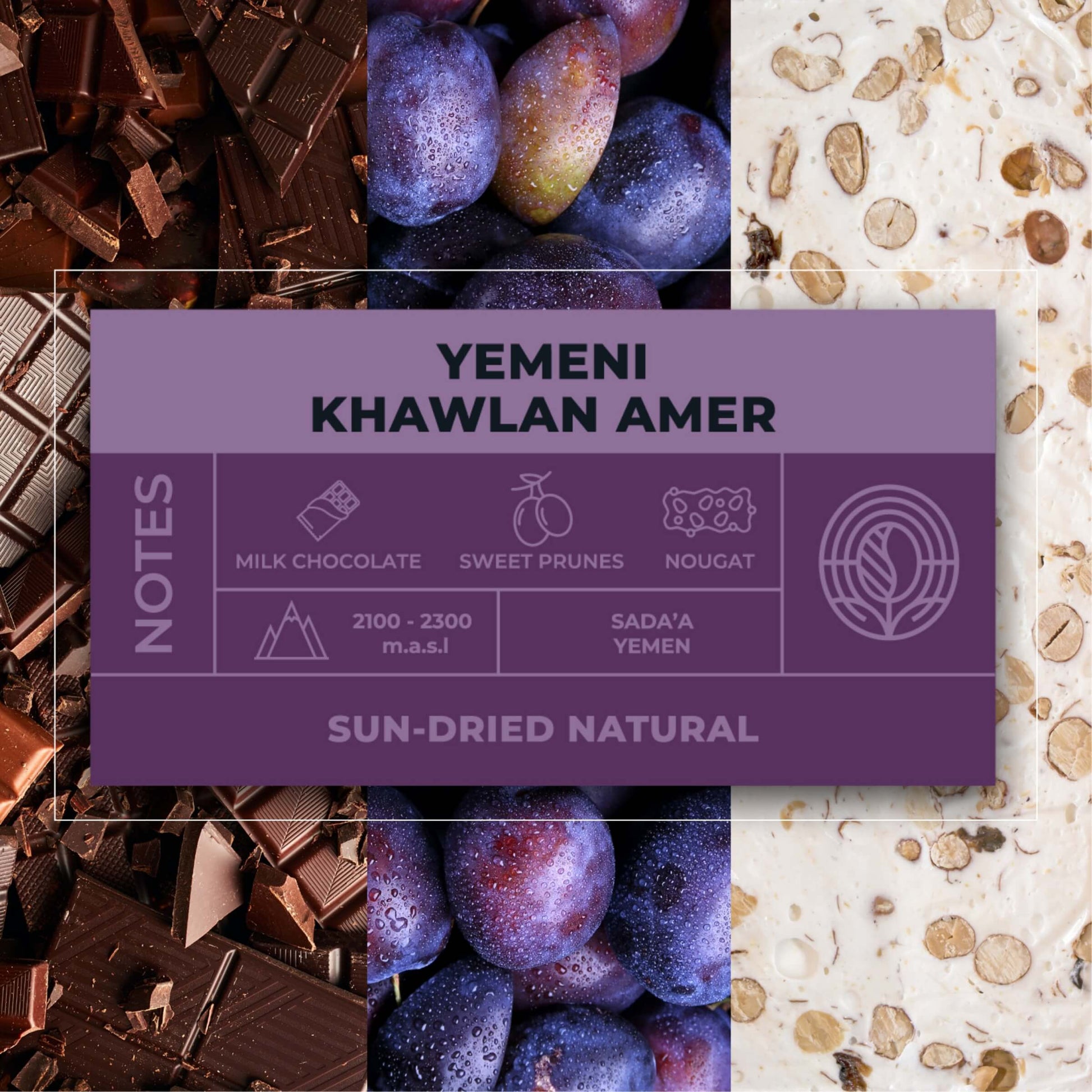 Yemeni-Khawlan-Amer-Coffee-Tasting-Notes_RAW-Coffee-Company